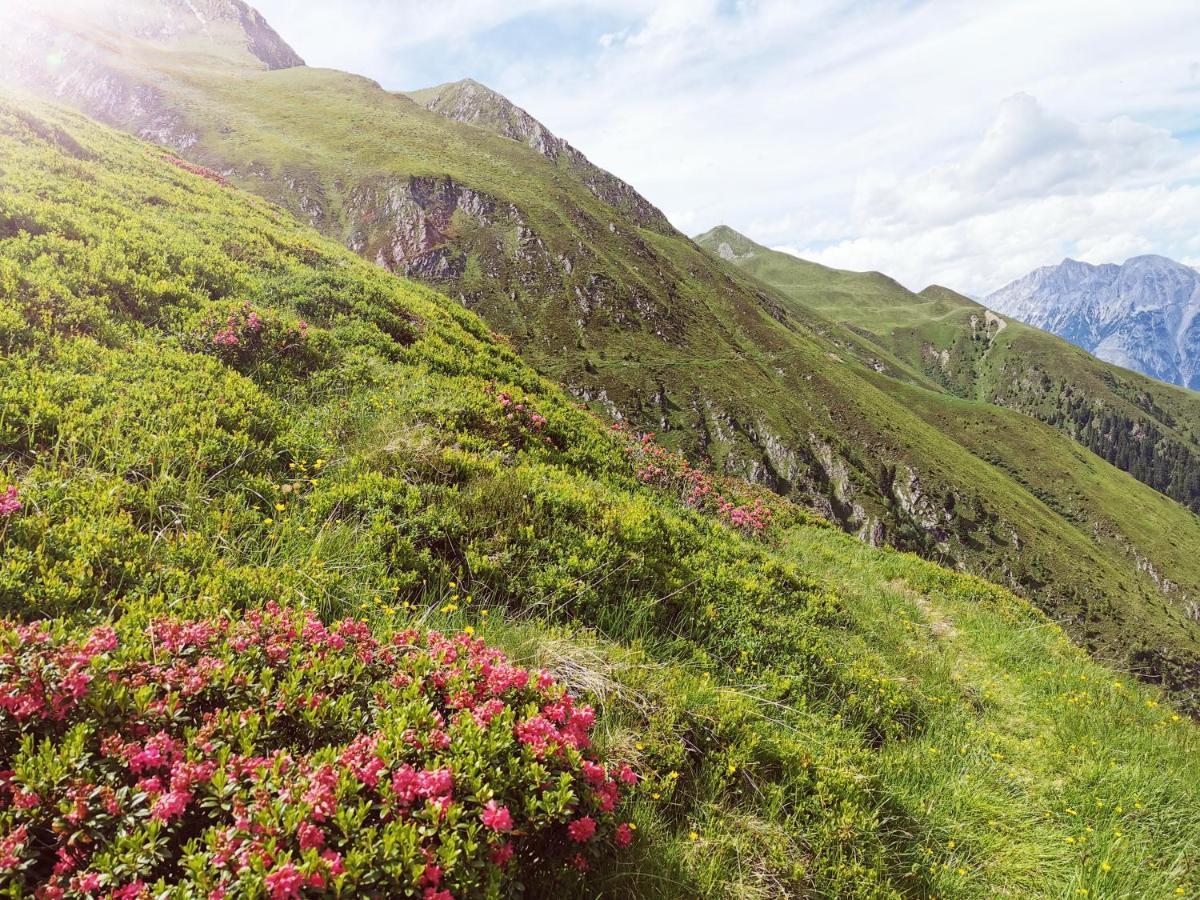 Das K - Dei "Hoamatl" Im Oetztal Eksteriør billede